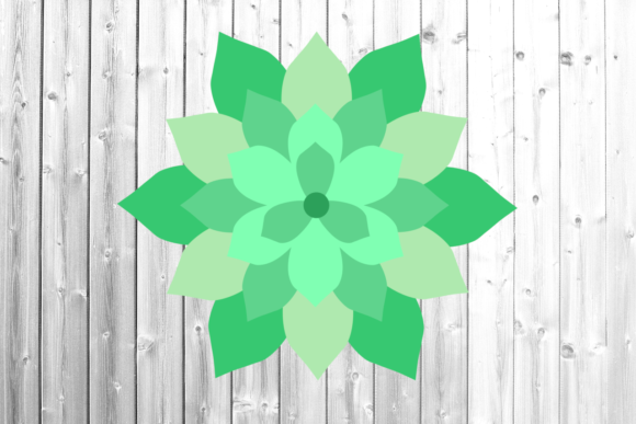 Sacculent 3D 6 Layers Graphics for Crafts